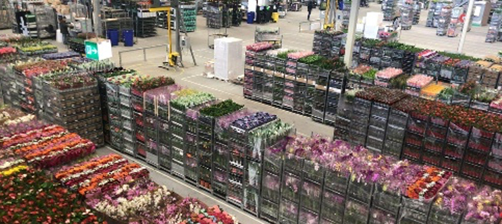 Billede af lager i Plantas bygning