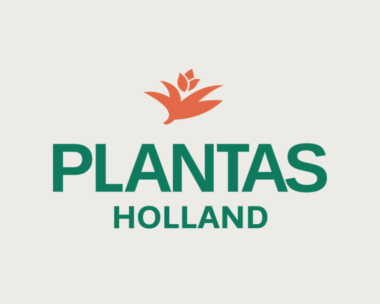 Plantas Holland