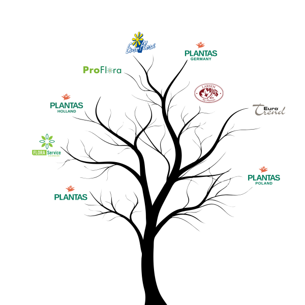 Family tree